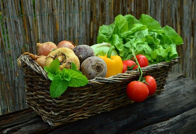 Protein İçeren Gıdalar ekolojik-koyy-besin-turleri-arasinda-protein-iceren-gidalar-nelerdir