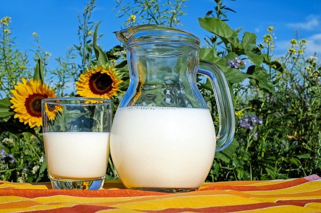 Protein İçeren Gıdalar ekolojik-koyy-besin-turleri-arasinda-protein-iceren-gidalar-nelerdir