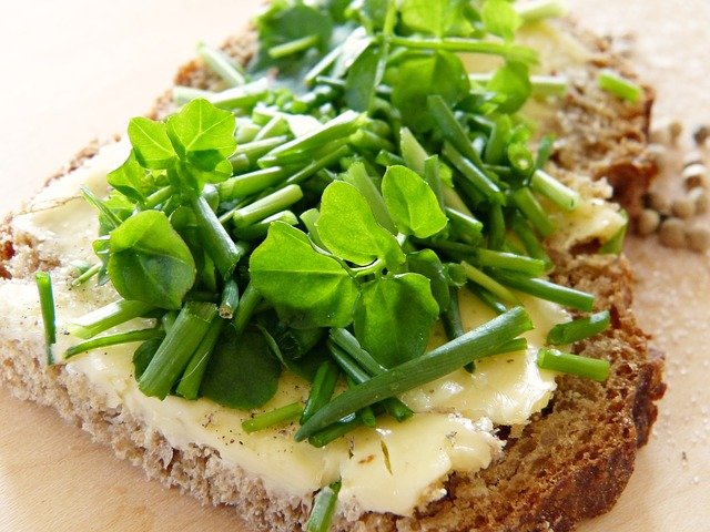 Protein İçeren Gıdalar ekolojik-koyy-besin-turleri-arasinda-protein-iceren-gidalar-nelerdir