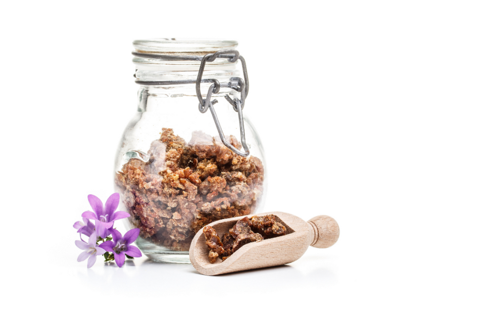 Propolis Nedir ekolojik-koyy-9-baslikta-propolis-nedir-nasil-kullanilir
